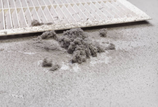 Best Ductwork Cleaning Services  in Vincent, CA