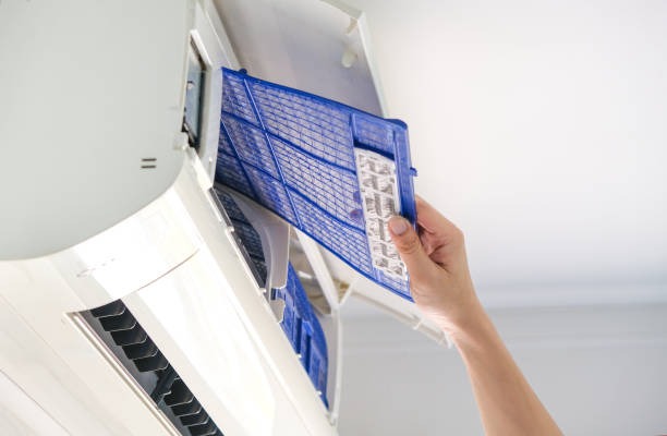 Best HVAC Duct Inspection Services  in Vincent, CA